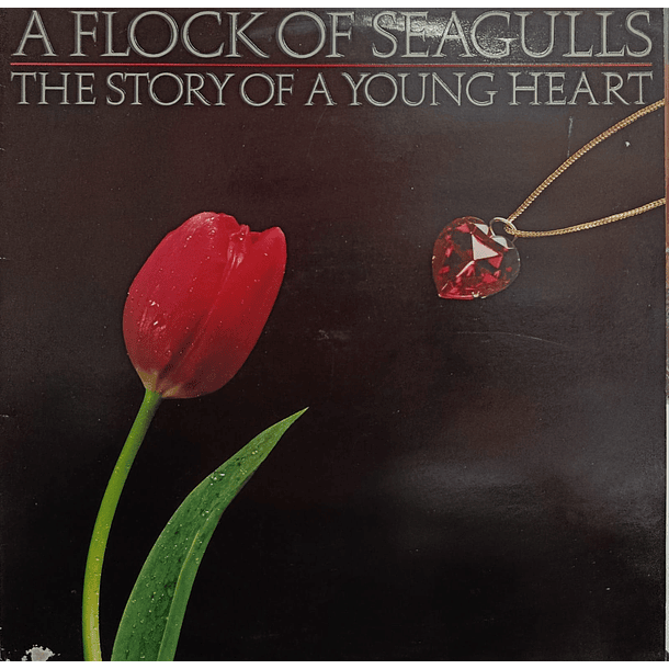A Flock Of Seagulls - A Story Of A Young Heart 1