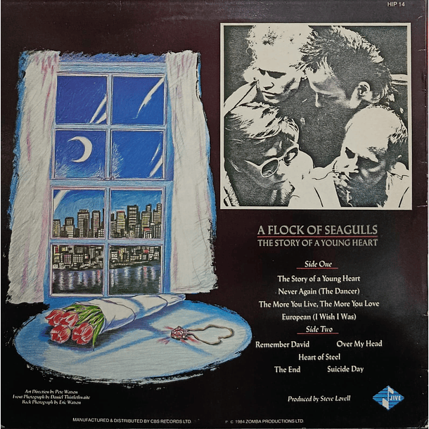 A Flock Of Seagulls - A Story Of A Young Heart 2