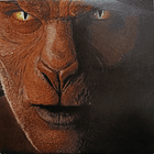 John Fogerty - Eye Of The Zombie 1