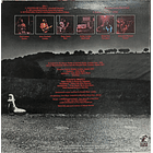 Brand X - Livestock 2