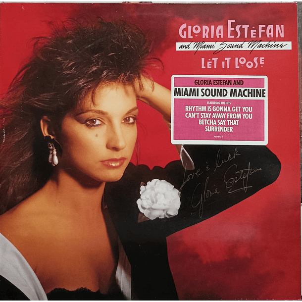 Gloria Stefan And Miami Sound Machine - Let It Loose 1