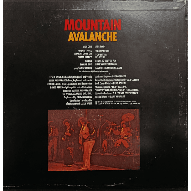 Mountain - Avalanche 2