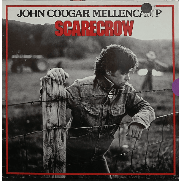 John Cougar Mellencamp - Scarecrow  1