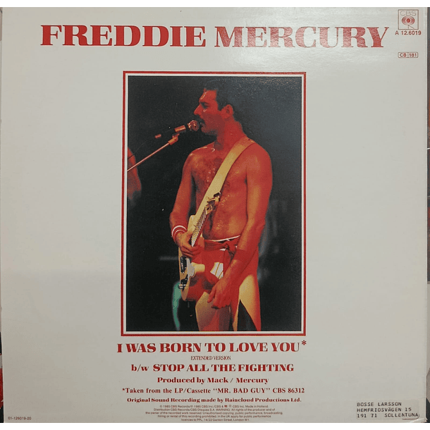 Freddie Mercury - I Was Born To Love You 2