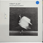 Robert Plant - The Principle Of Moments 1