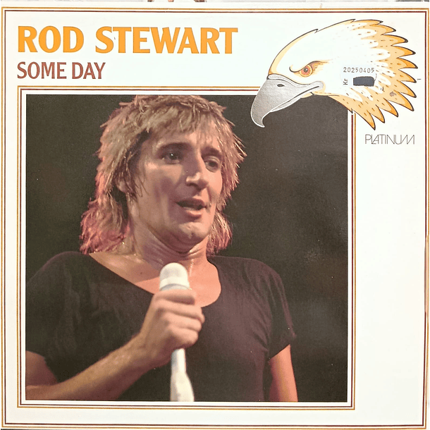 Rod Stewart - Some Day 1