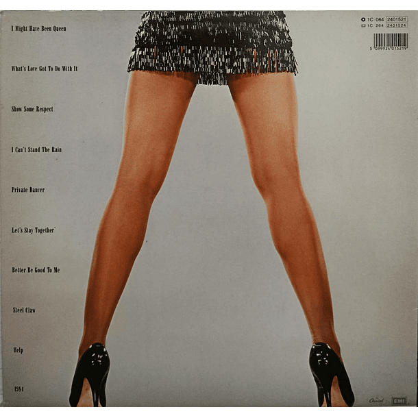 Tina Turner - Private Dancer  2