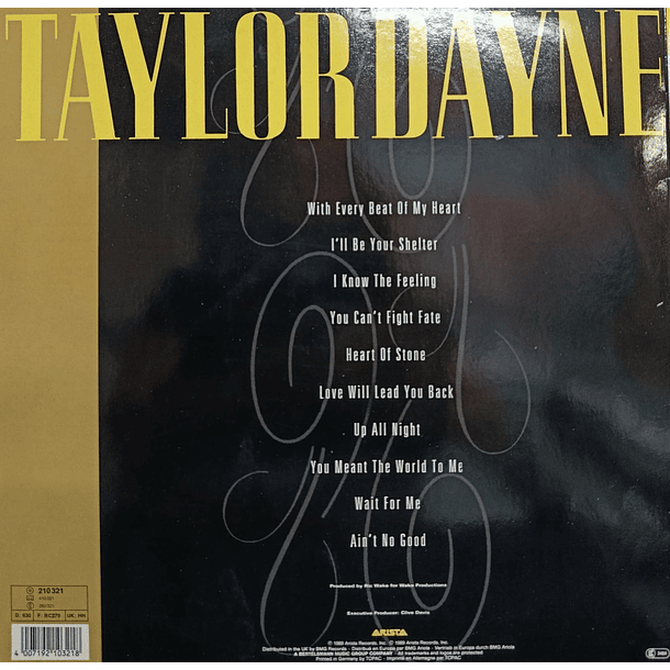Taylor Dayne - Can't Fight Fate 2
