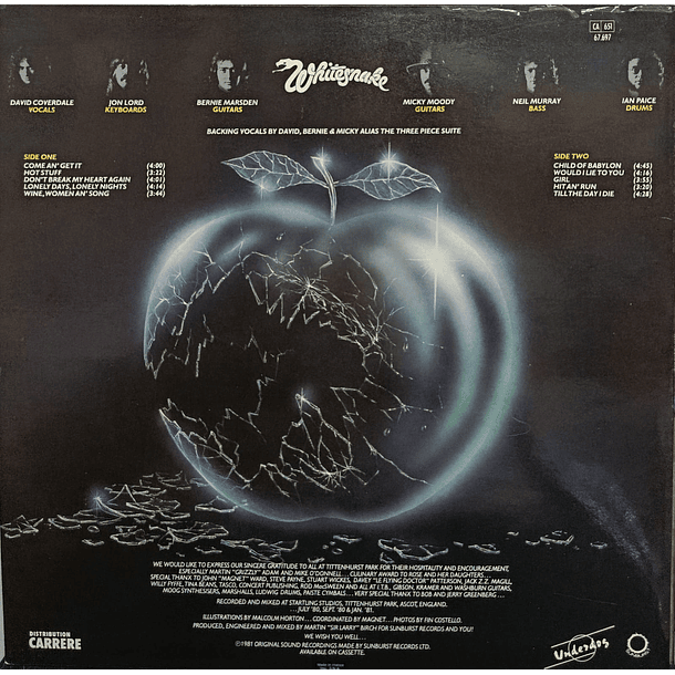 Whitesnake - Come An' Get It 2