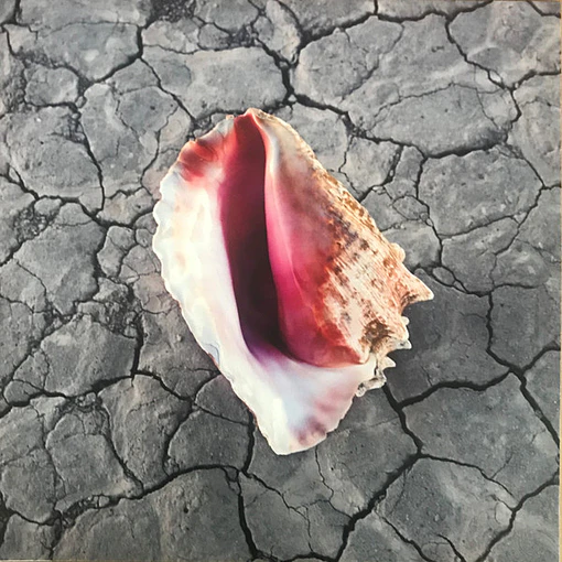 The Killers - Wonderful Wonderful (2 LPs) Deluxe Version