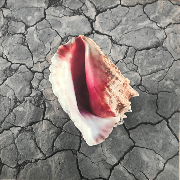 The Killers - Wonderful Wonderful (2 LPs) Deluxe Version