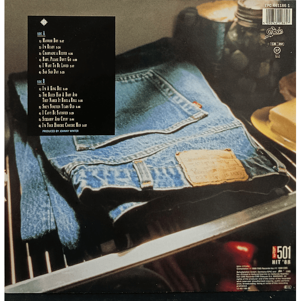 Muddy Waters - Hoochie Coochie Man 2