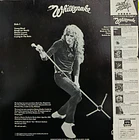 Whitesnake - Saints & Sinners  2