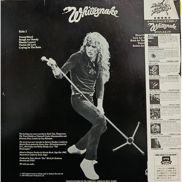 Whitesnake - Saints & Sinners  2