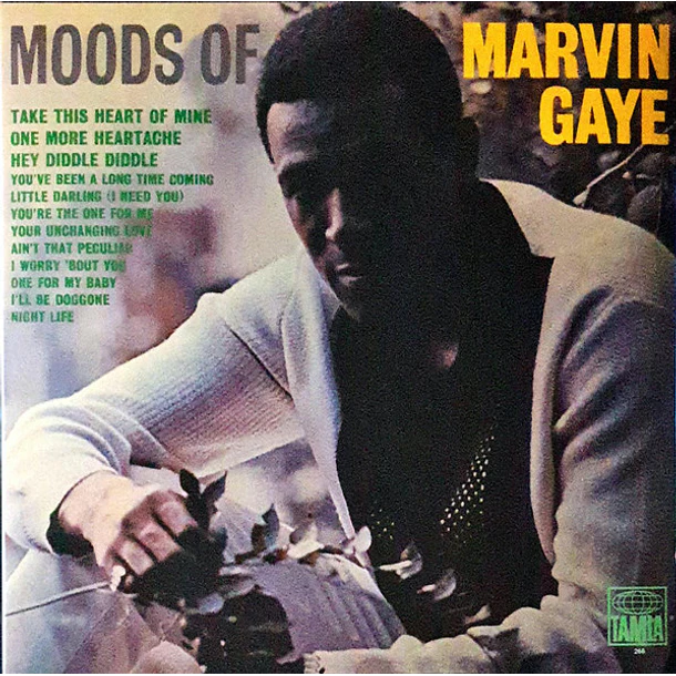 Marvin Gaye - Moods Of