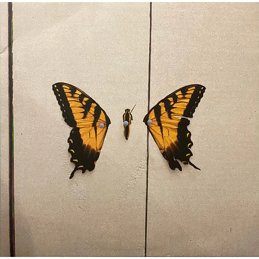 Paramore - Brand New Eyes 