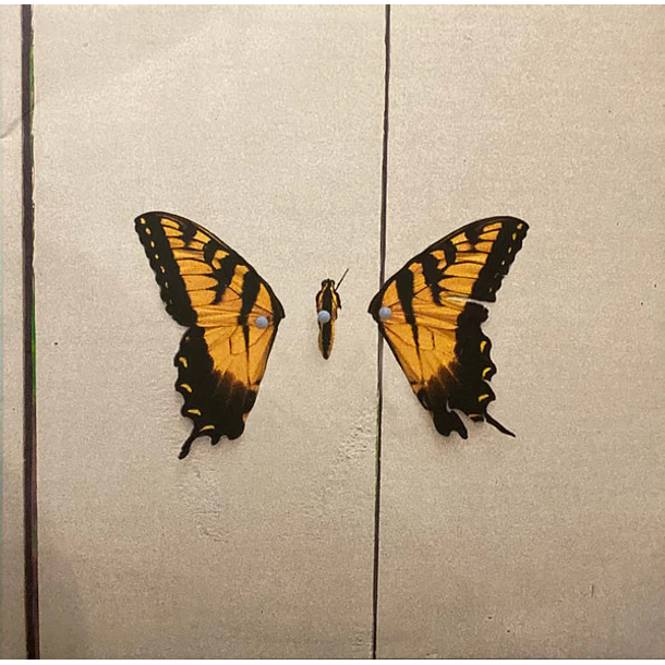 Paramore - Brand New Eyes 