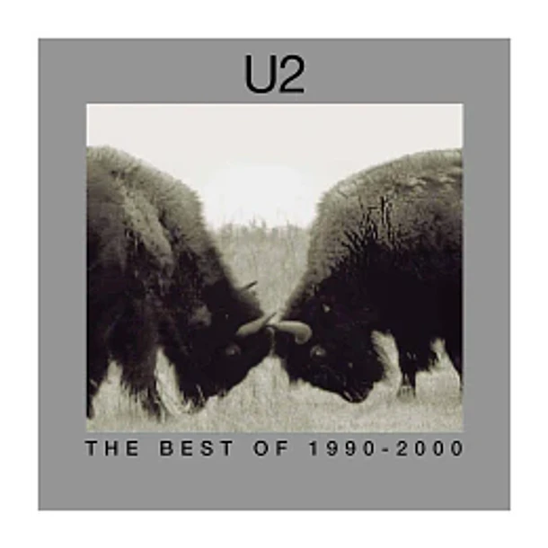 U2 - The Best Of 1990 - 2000 (2 LPs)