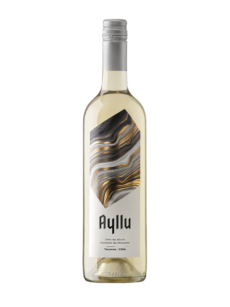Ayllu Ensamblaje Blanco 2025 1