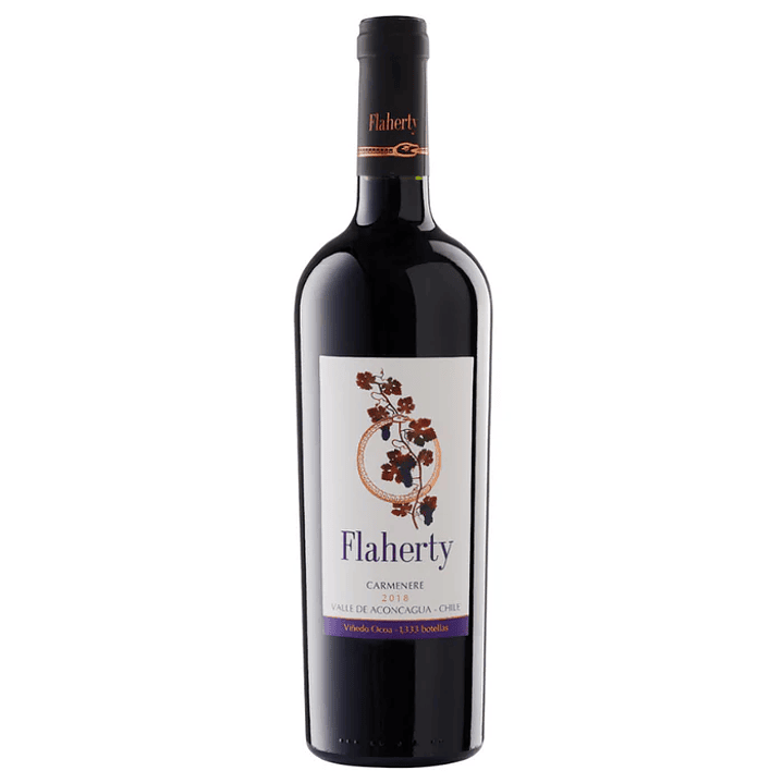 Flaherty – Ocoa (Aconcagua Costa) 1