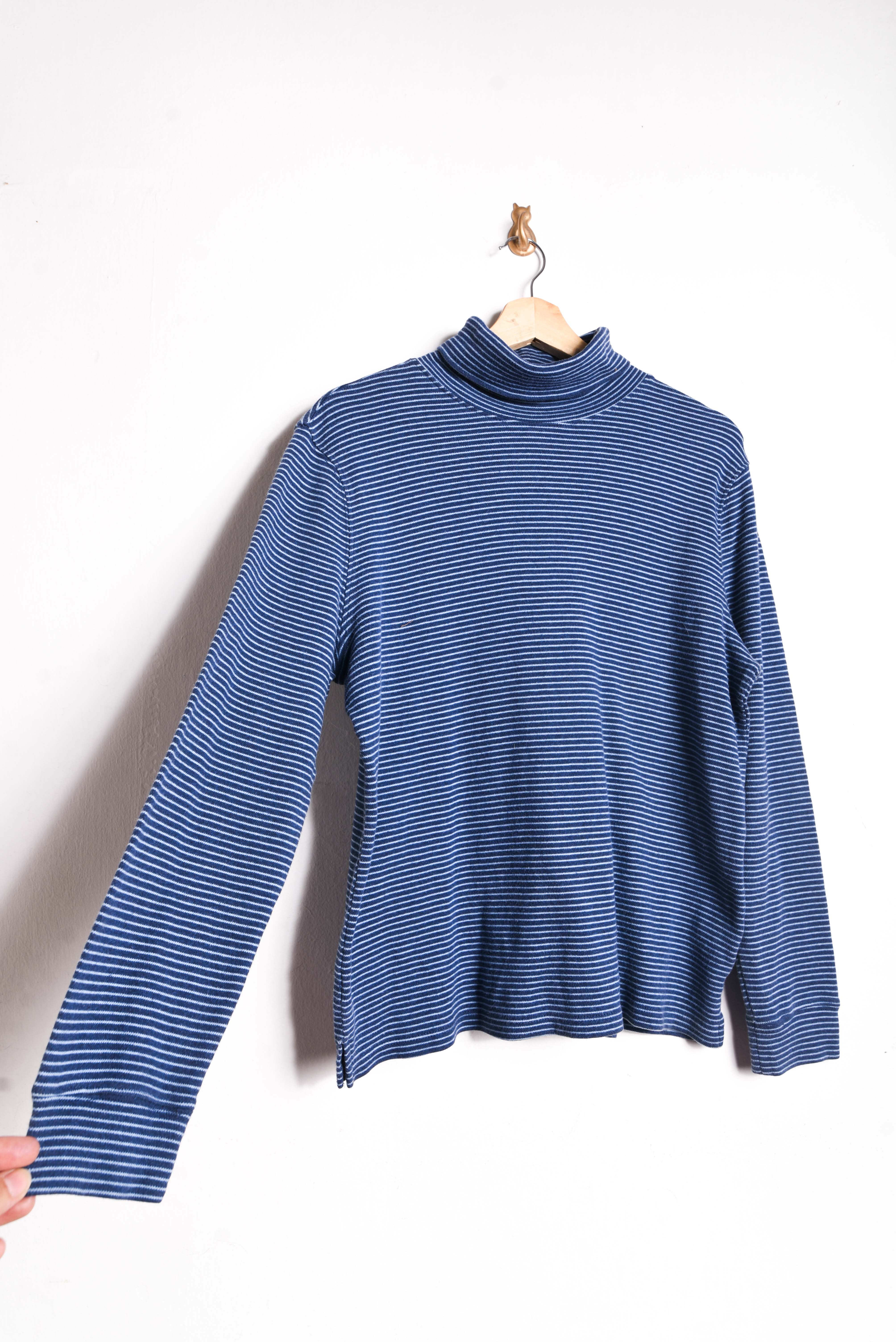 Beatle azulino rayado