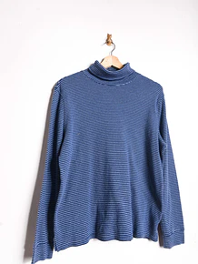 Beatle azulino rayado