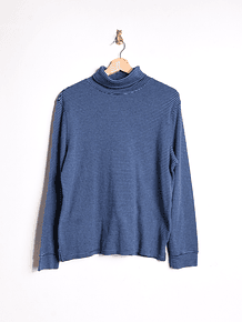 Beatle azulino rayado