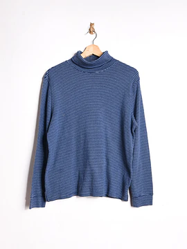 Beatle azulino rayado