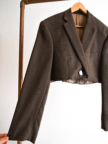 Blazer crop reworked