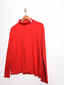 Beatle rojo bordado
