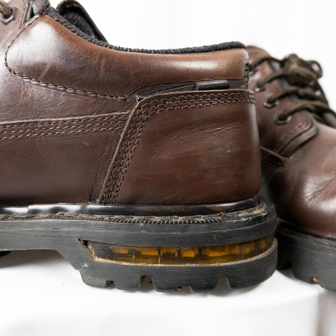 Cat Hidden Tracks 10