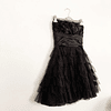 Black Swan Dress