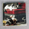 Set de Azulejos "Henriette Ronner-Knip".