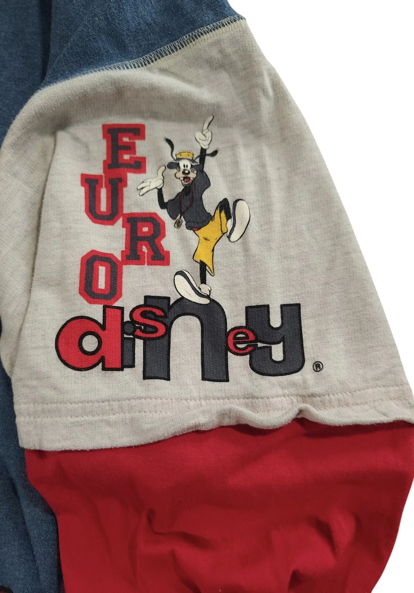 Hoodie Euro Disney 3