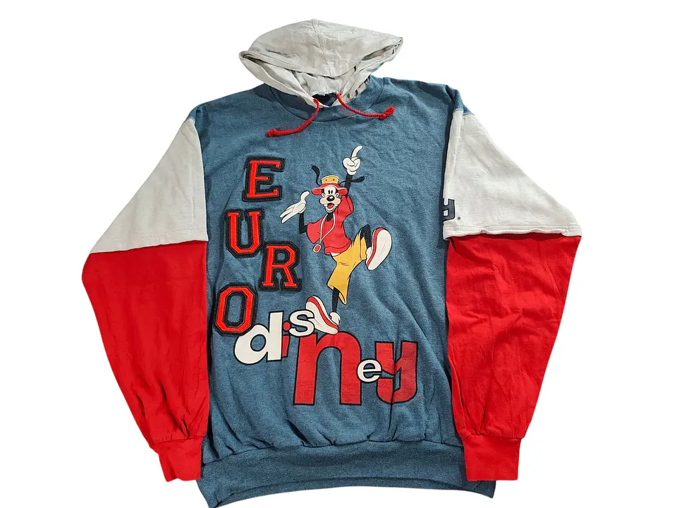 Hoodie Euro Disney 1