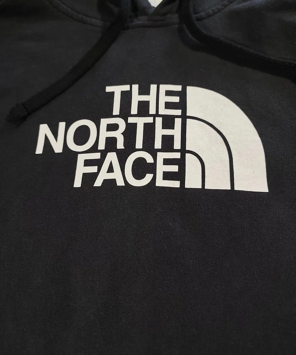 Hoodie The North Face 2