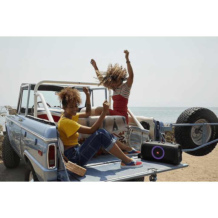 JBL PartyBox On The Go com Microfone 2