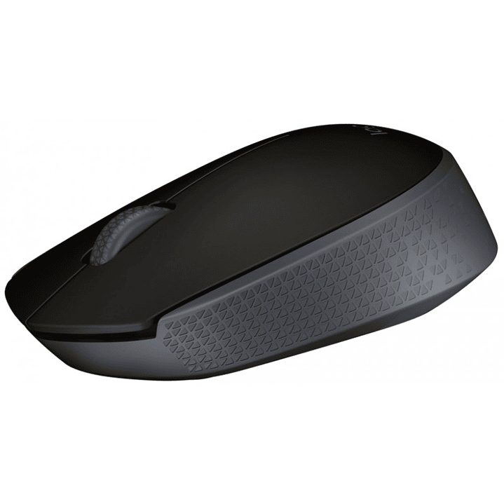 Logitech M171 2
