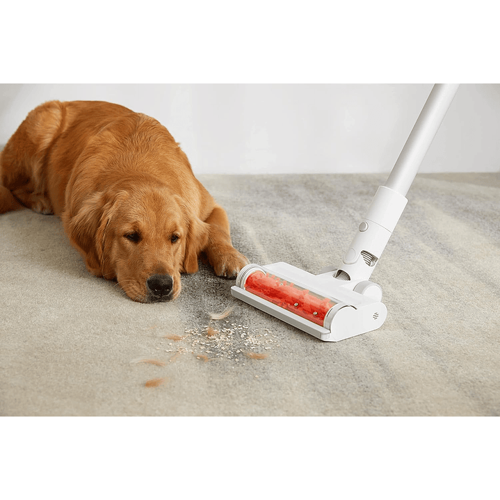 Aspirador Xiaomi Vacuum Cleaner G11 9