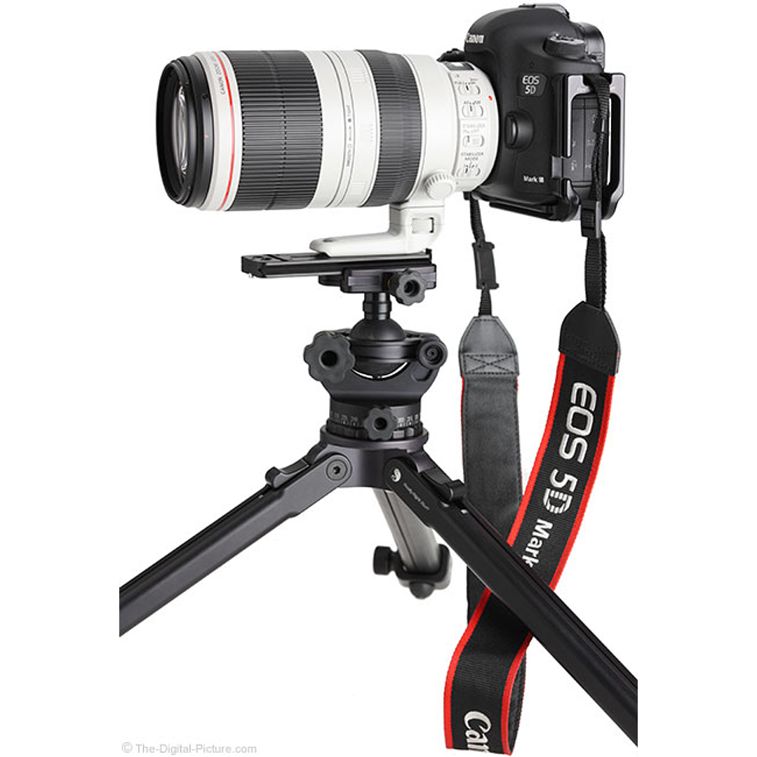 Lente Canon EF 100-400mm f/4.5-5.6L IS II USM  5