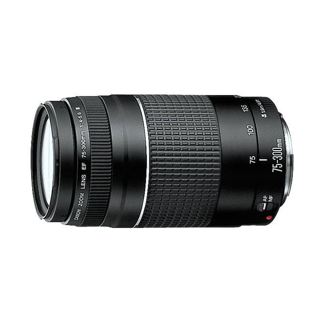 Lente Canon 75-300mm 1