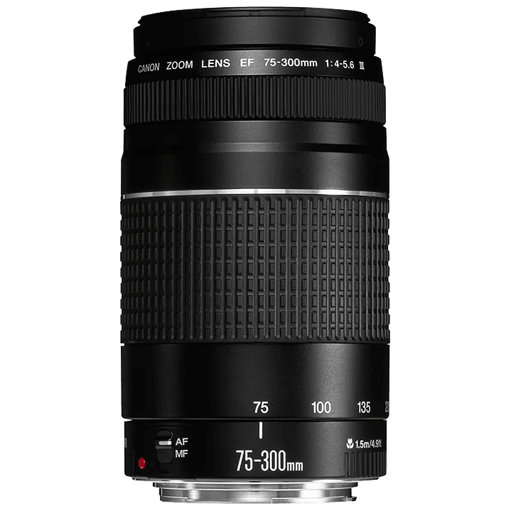 Lente Canon 75-300mm 2