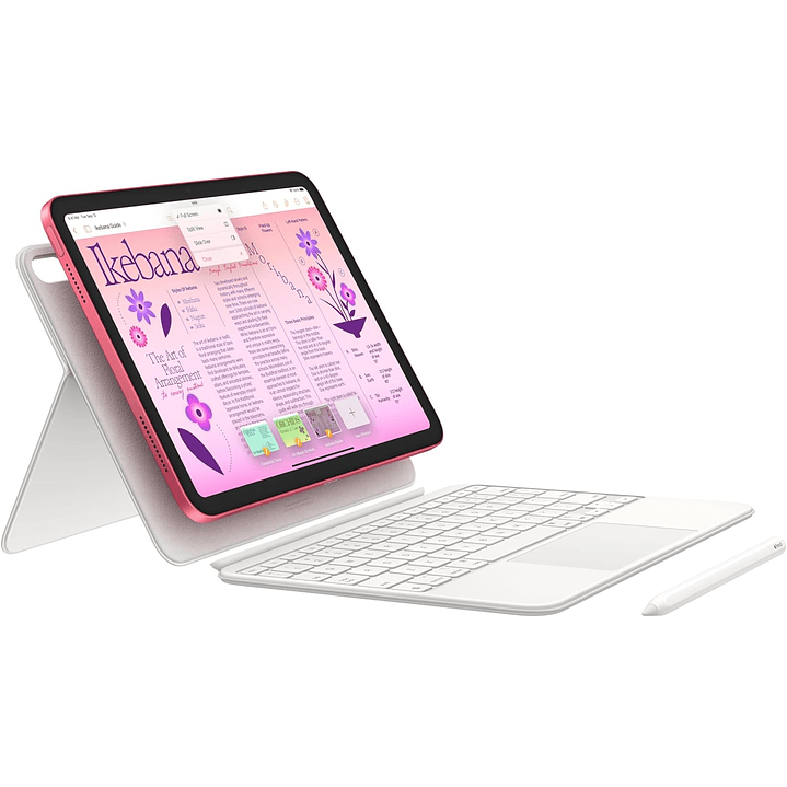 iPad 10th (10.9'' - 64 GB - Wi-Fi + Celular) 5