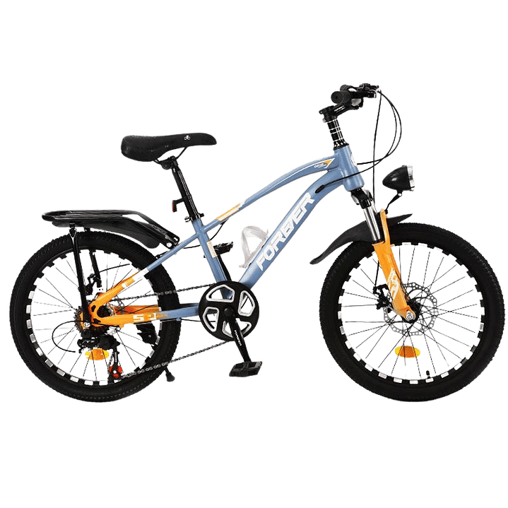 Bicicleta Forever MKL 20