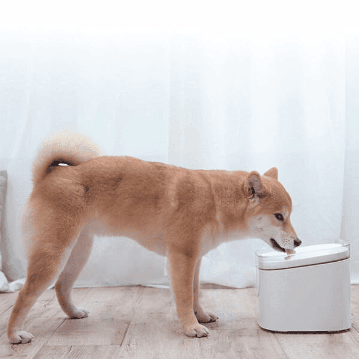 Fonte de Água Xiaomi Smart Pet Fountain 5