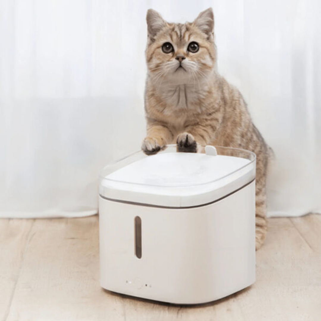 Fonte de Água Xiaomi Smart Pet Fountain 6