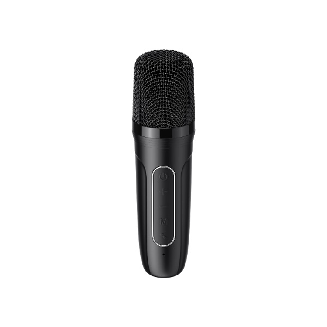 Havit SK819BT Karaoke Speaker with Microphone Bluetooth  2