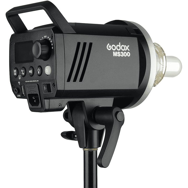 Godox Light MS300 2