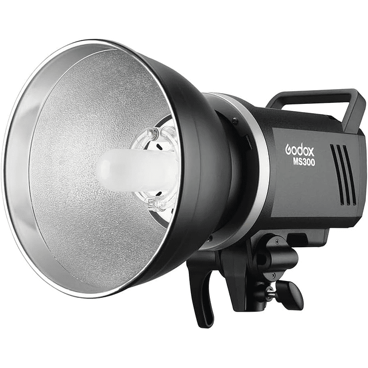 Godox Light MS300 1