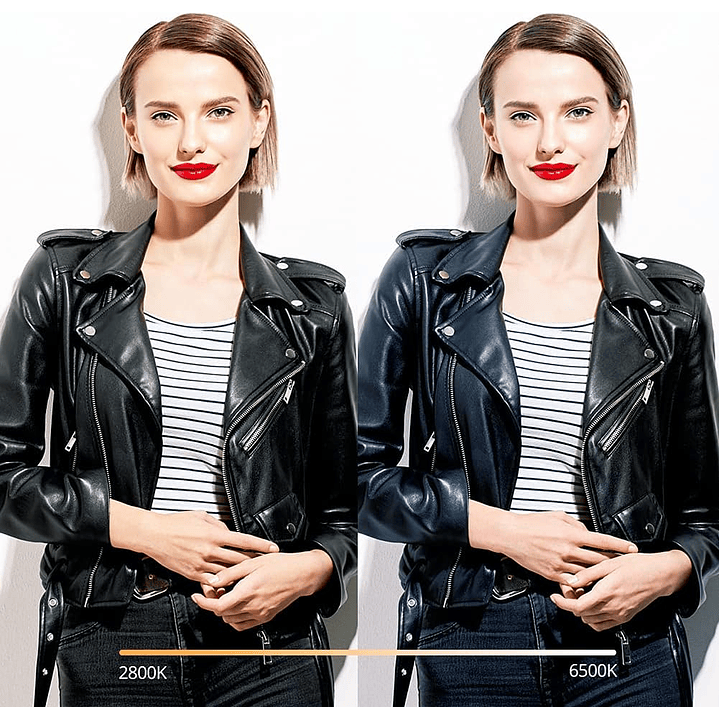 Godox SL100D 2-Light Kit with Softboxes and Case 6